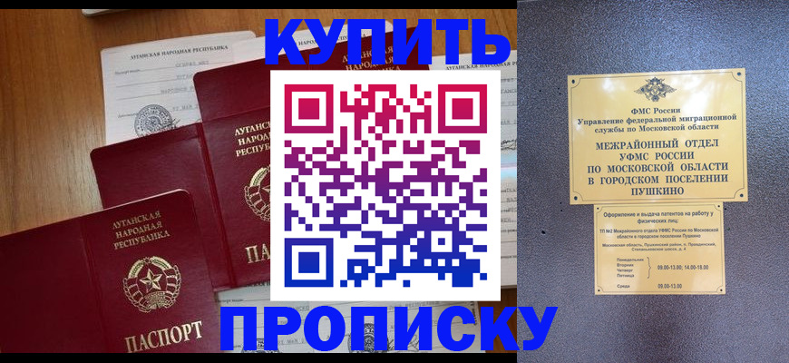 прописка в квартире в Зеленогорске
